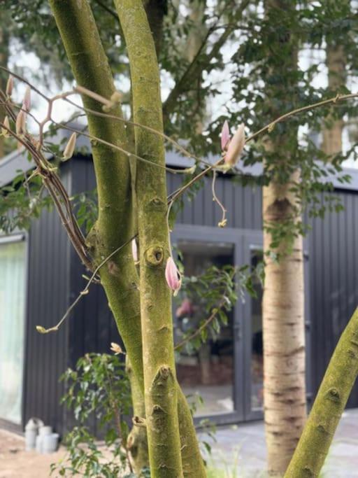 Veluwe Boutique Lodge Putten Εξωτερικό φωτογραφία