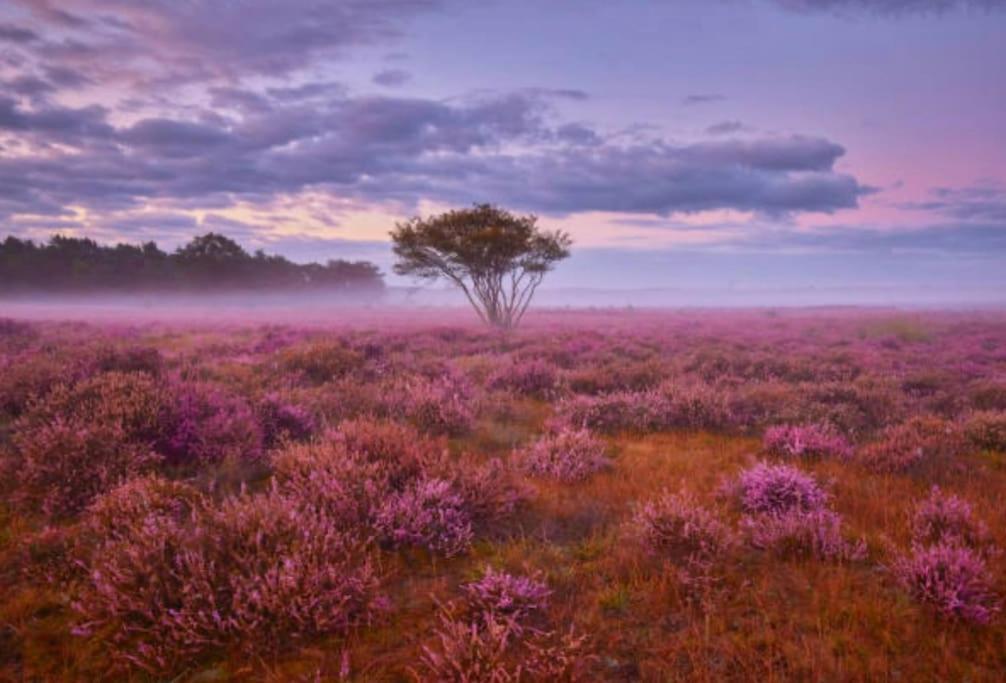 Veluwe Boutique Lodge Putten Εξωτερικό φωτογραφία
